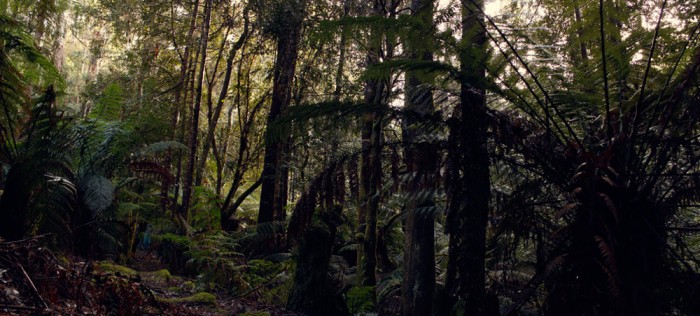 Marriott's FallsTrail