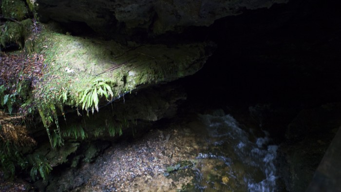 Entrance to Junee Cave