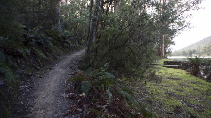 Waterworks Reserve trail