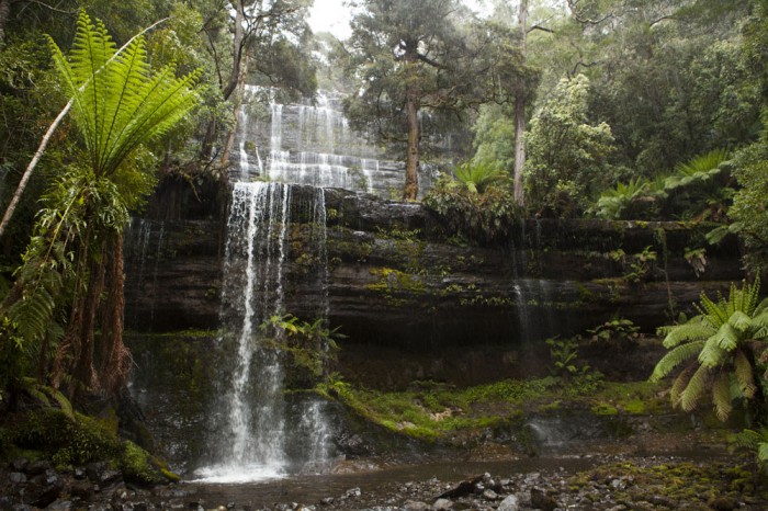 Russell Falls, Mount Field National Park