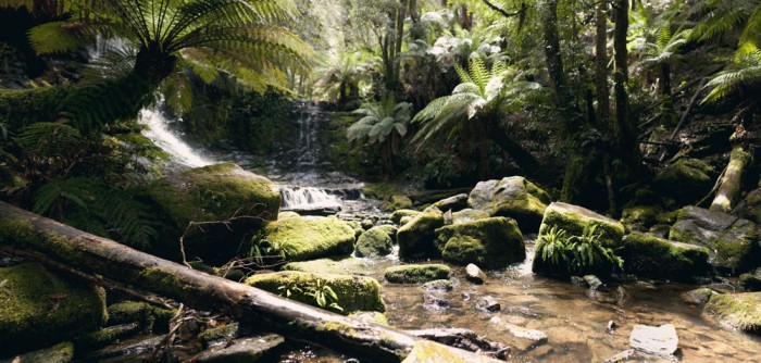 Horse Shoe, Mount Field National Park