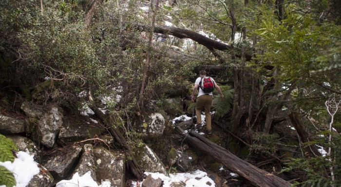 The trail