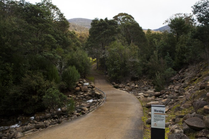 Beginning of Lenah Valley Track
