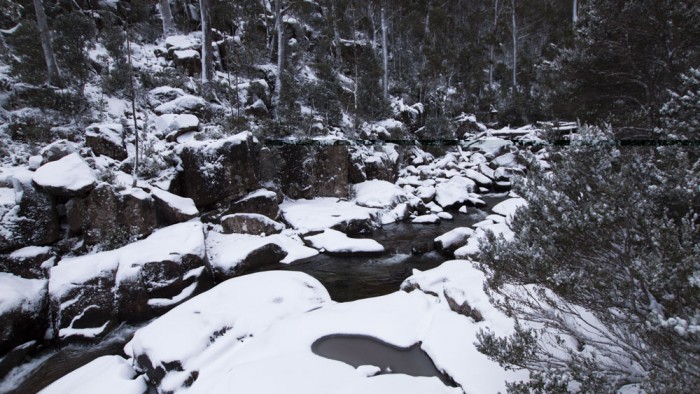 Top of Wellington Falls