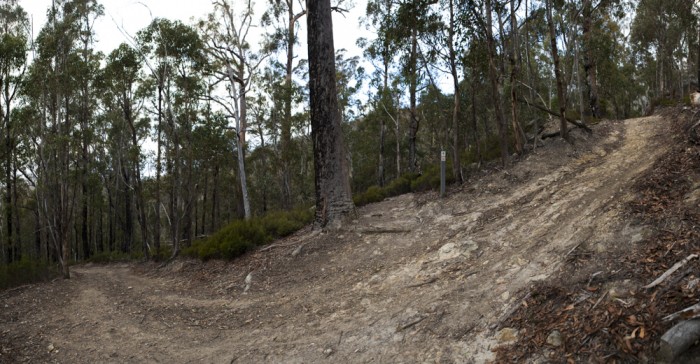 New Town Falls fire trail
