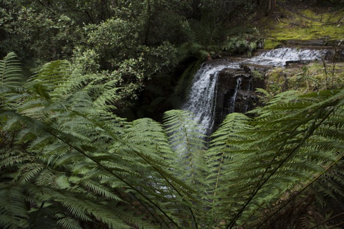 Silver Falls