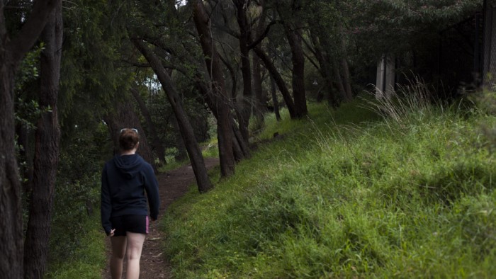 Boronia Beach Track