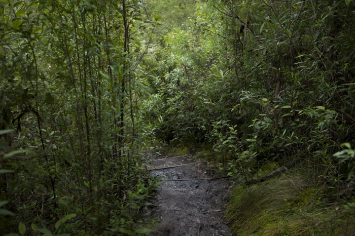 The Truganini Track