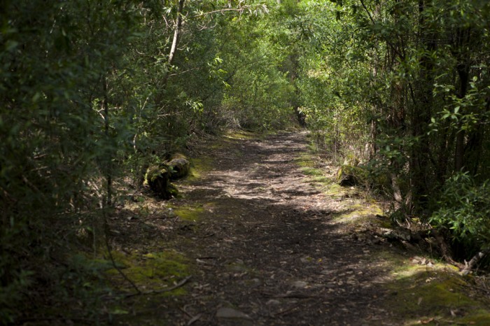 The Truganini Track
