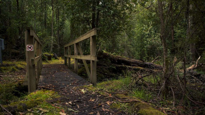 Nierinna Creek