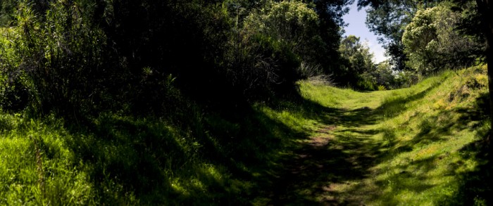 Kaoota Trailhead