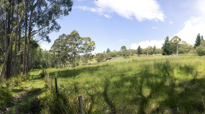 Lower Nierinna Creek Track