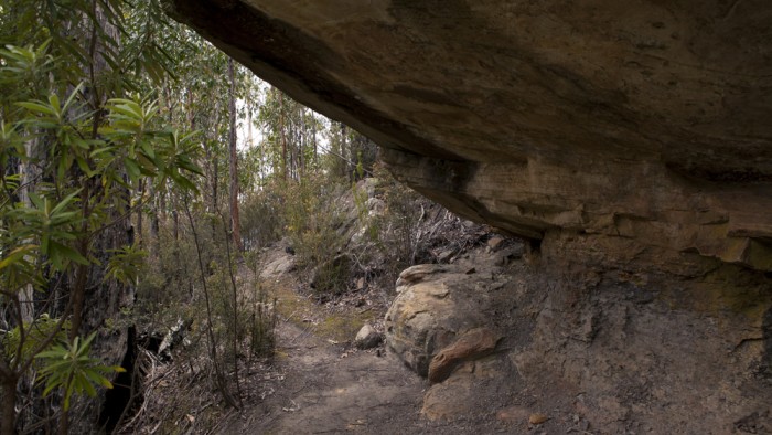 Old Hobartian Track