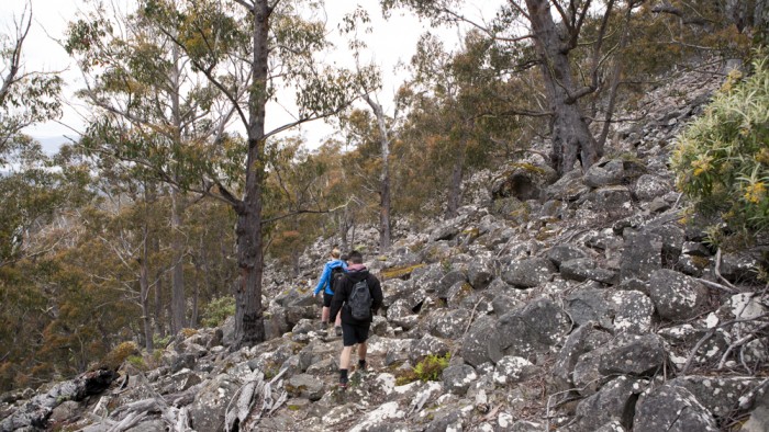 Hunters Track