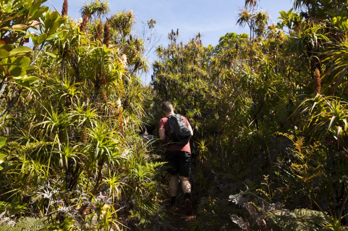 Approaching Tatnells Hill