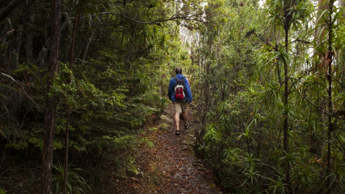 The Organ Pipes Track