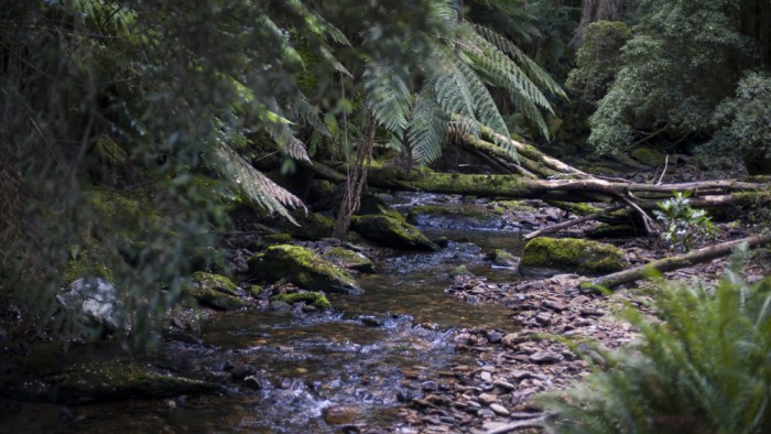 Nelson River