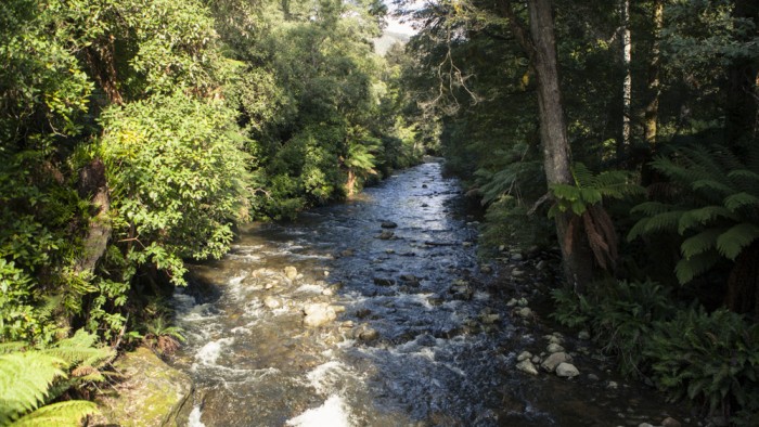 Liffey River