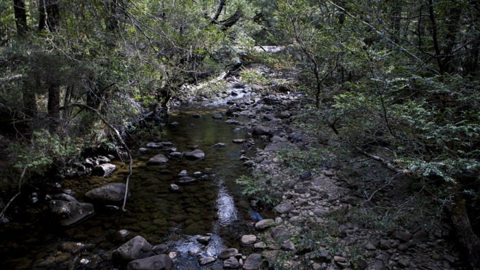 Cuvier River