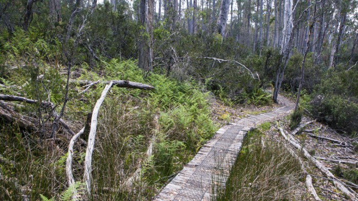 Platypus Bay trail