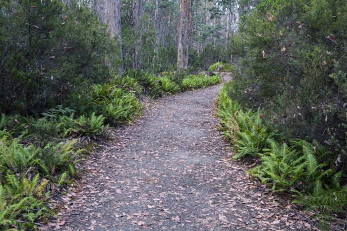 Watersmeet Nature Trail