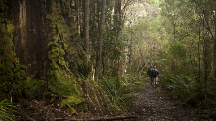 Mystery Creek Caves Track