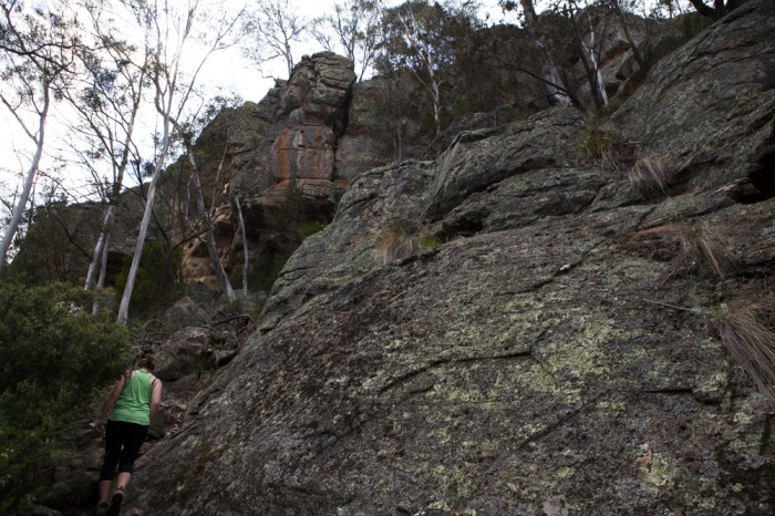 Brown's Caves