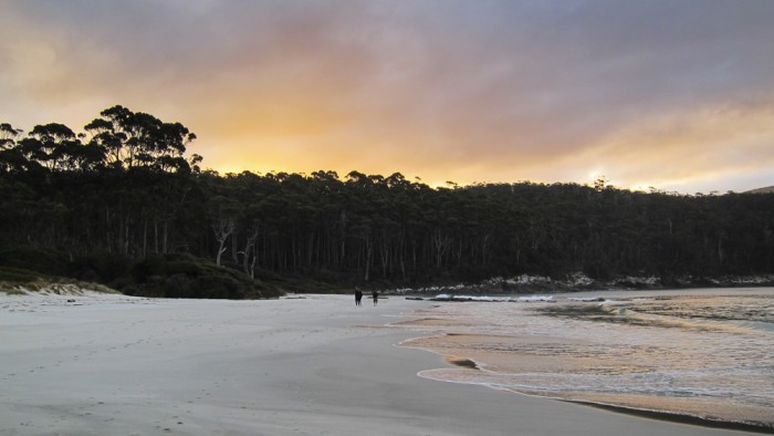 Fortescue Bay