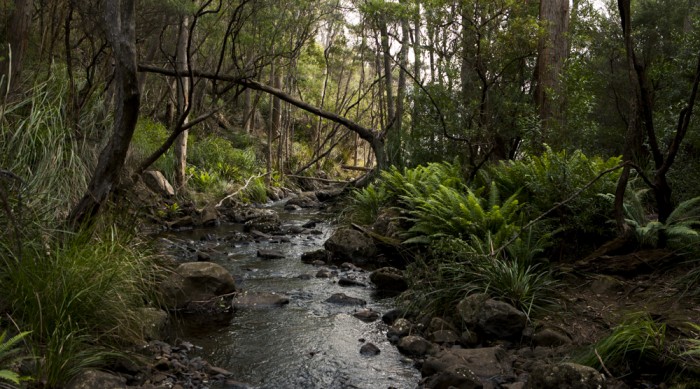 Bivouac Creek
