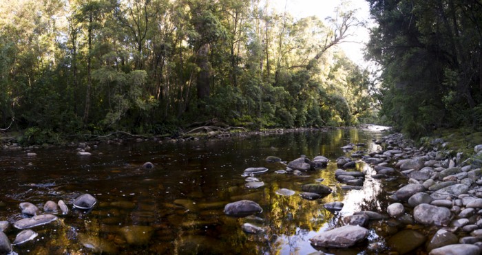 Louisa River