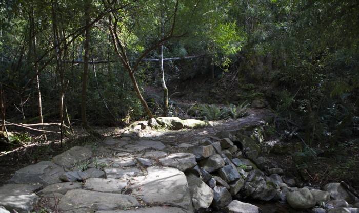 Creek Crossing