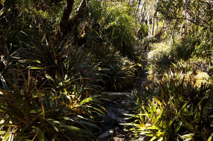Descending the Ironbound Range