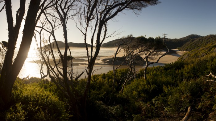 Surprise Bay