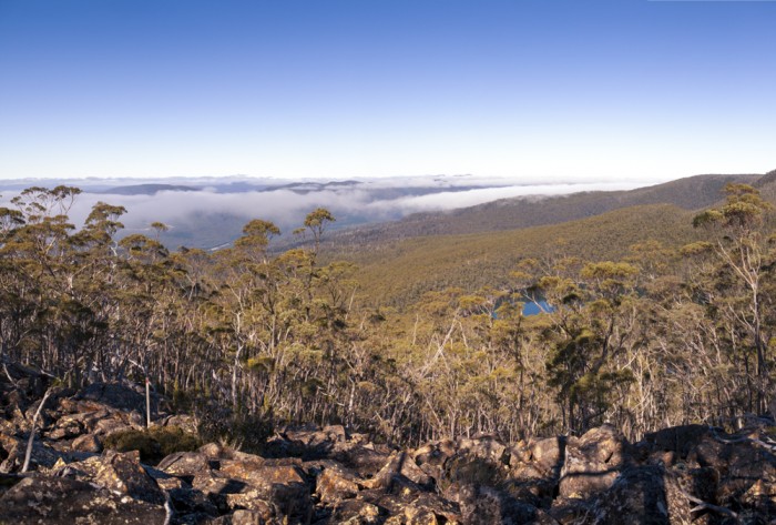 View south from Mount Field East
