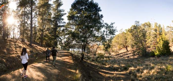 Risdon Brook Reservoir Trail