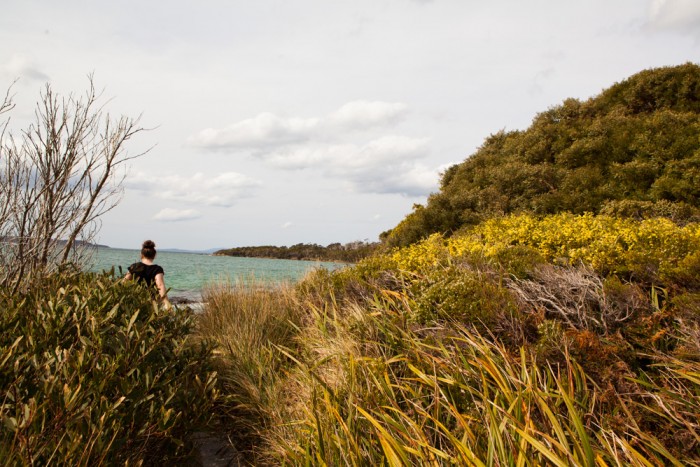 Fishers Point Track