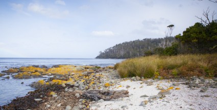Fisher Point, South West National Park