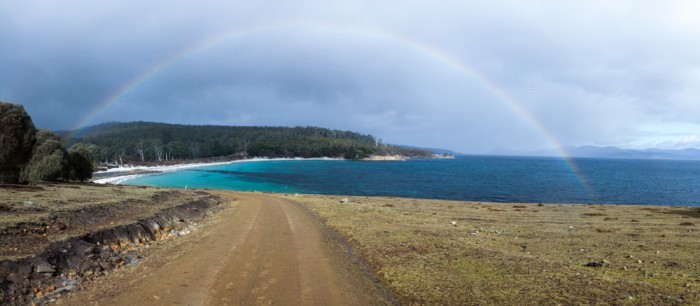 Painted Cliffs coastal track