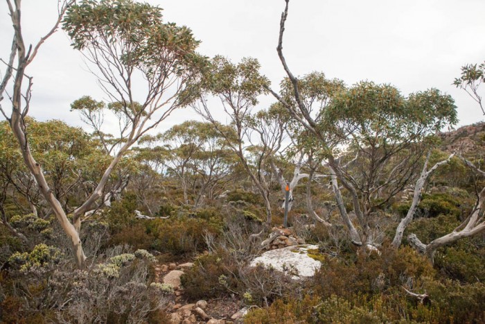Track towards Smiths Monument