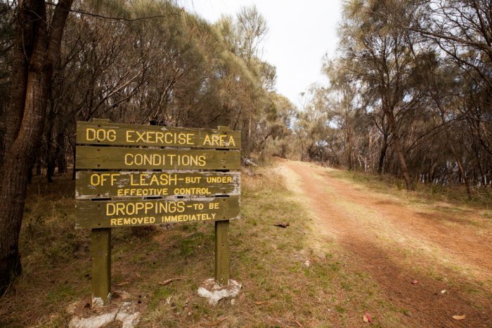 Dogs are allowed on Tinderbox Hills Track