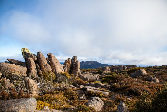 Thark Ridge, Mount Wellington