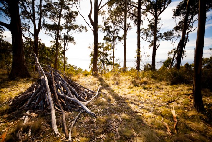 Tinderbox Hills Track