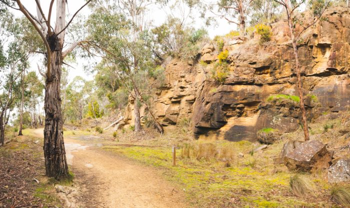 Start of Mount Knocklofty Track