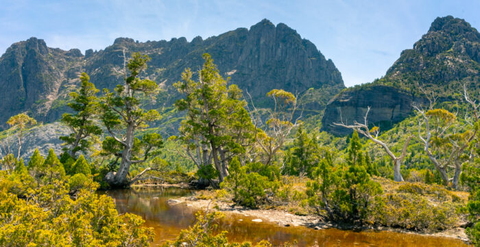 Artist's Pool, Overland Track