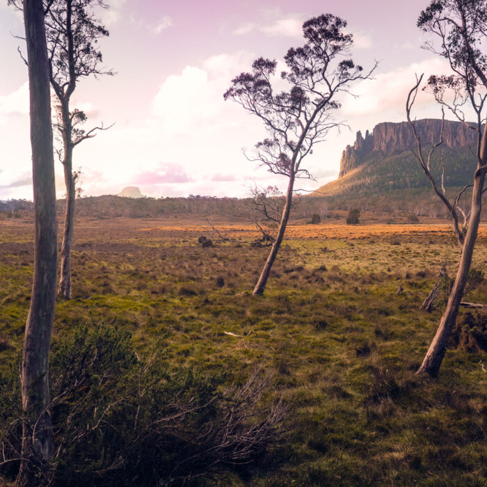 View from New Pelion Hut, Overland Track